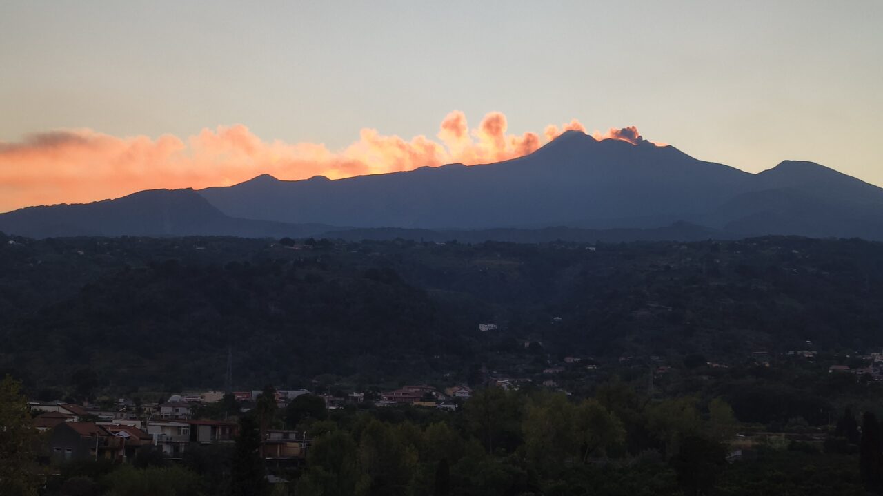 Tagliaborse-3